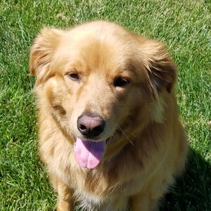 Fundraising Page: MICHAEL THOMPSON